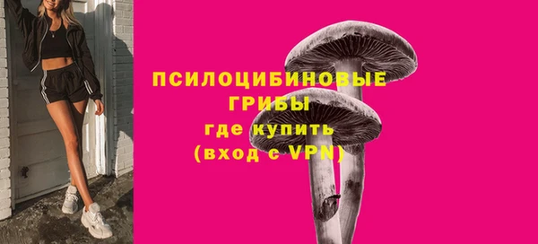 МДМА Ельня