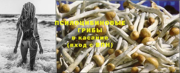 МДМА Ельня