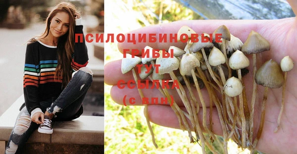 МДМА Ельня